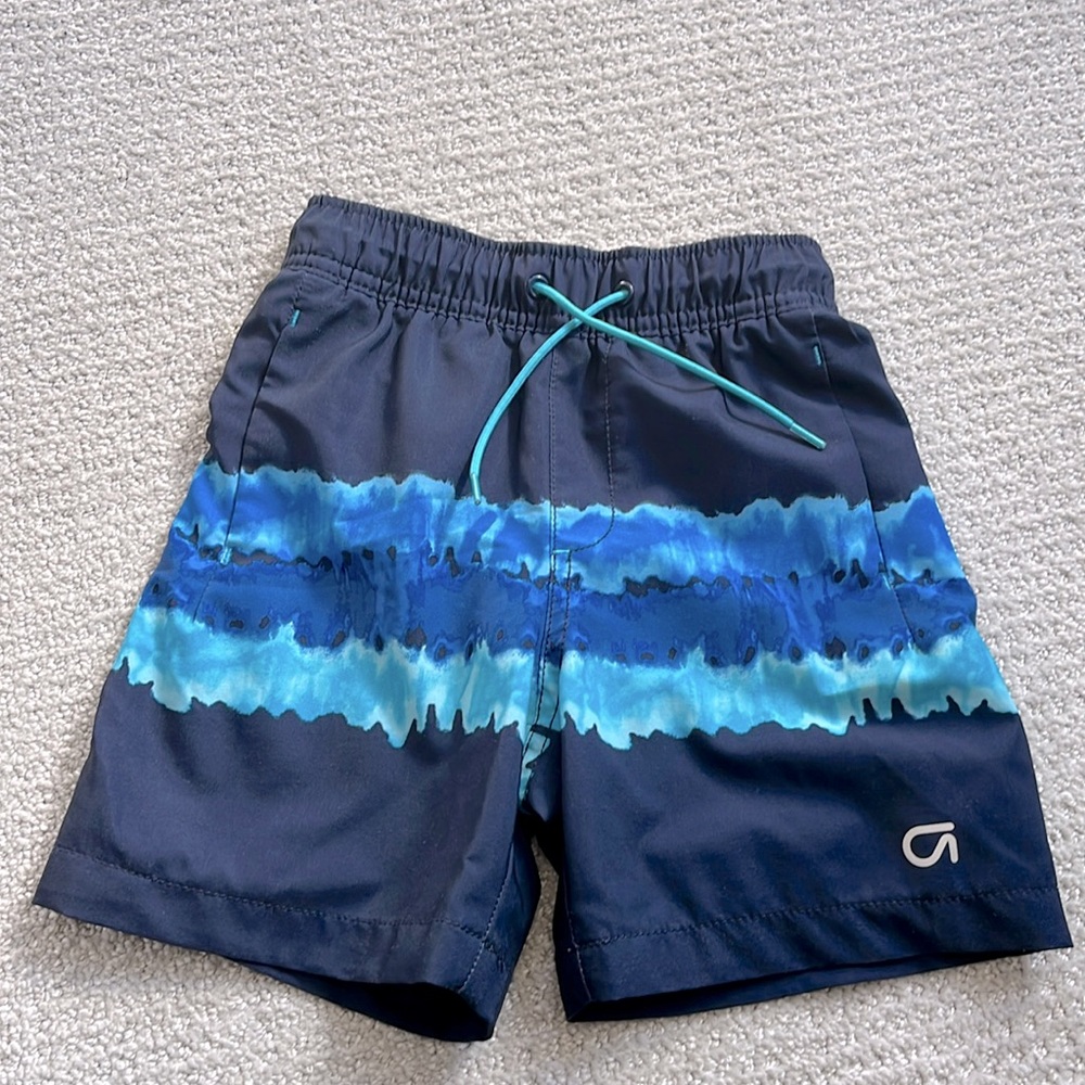 3T Gap Swim Trunks